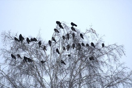 ����� 200 ������ �������� � �������� ����������