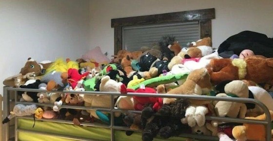 Проверьте свою внимательность: найдите котика среди игрушек за 10 секунд