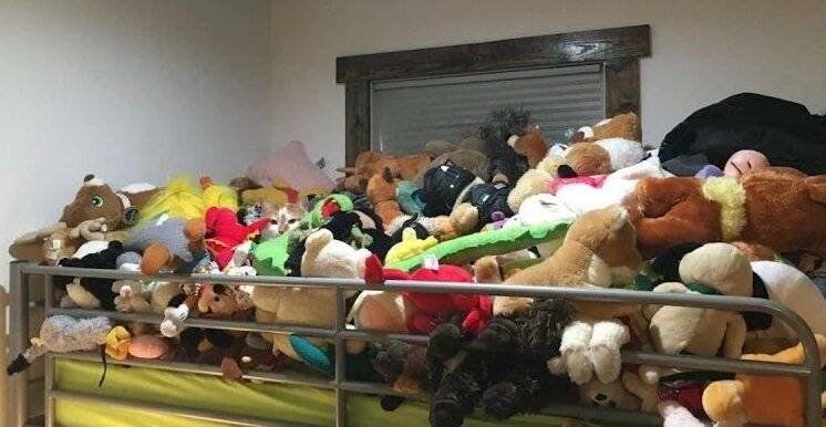 Проверьте свою внимательность: найдите котика среди игрушек за 10 секунд