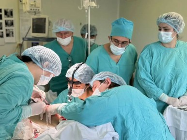 �������� ������ �������. ����� ��� �21 � ��� ������� ���������� �������� ������� � �������������� ������������