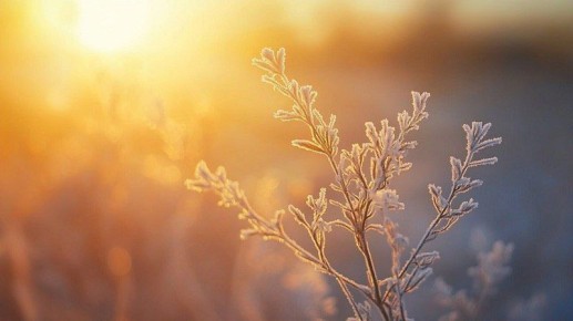 � �������� ������ �������� �����