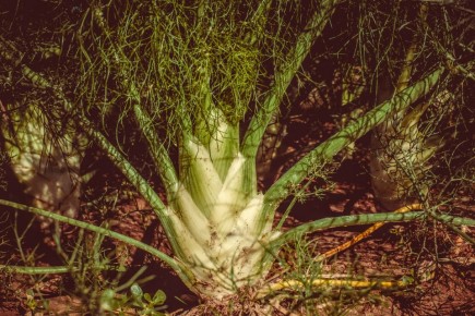 5 ������ �������� ������� �� �������: �������� ����, ������� ������� ����� � ��������