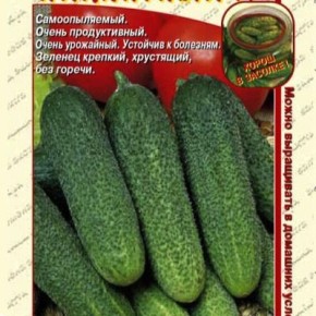 ������ ���������: ��������� ������ ��� ������ �������