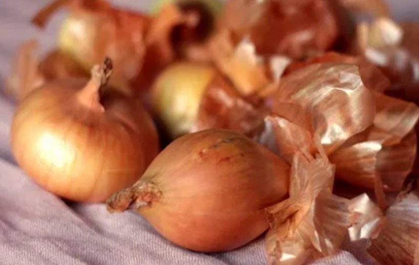 Почему луковая шелуха – настоящий кладезь для вашего дома и сада