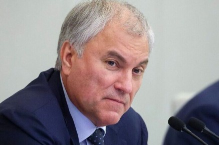 Парламентский контроль: важный элемент полномочий депутатов, по словам Володина