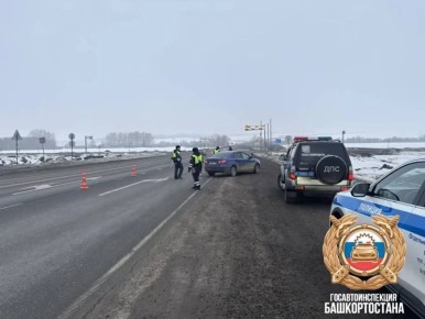 ������ ����������� �� �����!