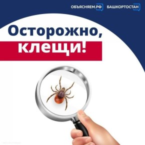 ����� ����������: �������� �� �������������