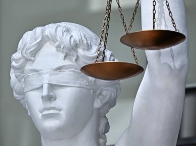 ��������� ���� 14 ��� � ������ �������� �������� �� ���� ������������ �������� ����������� � �������