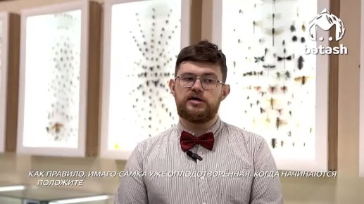 ����� � ������ ������� ������������ � ������ �����������