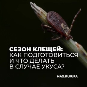 ����� ������: ��� ������������� � ��� ������ � ������ �����