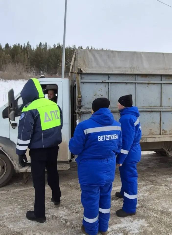 Башкирия усиливает контроль за скотом после ЧП в Сибири