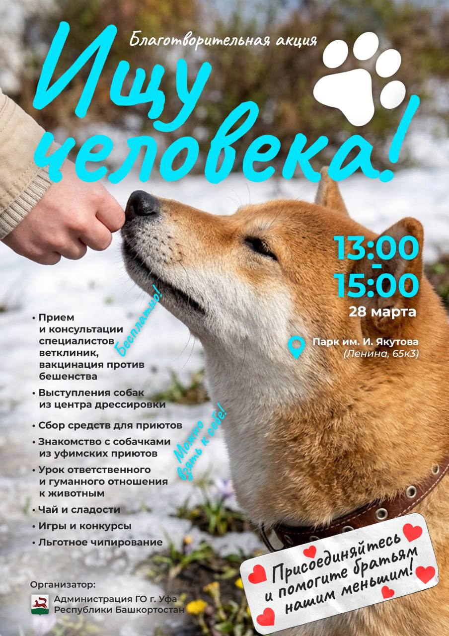Ратмир Мавлиев: #УфаДобрая. Продолжаем помогать нашим четвероногим друзьям