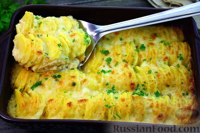 Вкусно и разнообразно: лучшие рецепты из картофеля