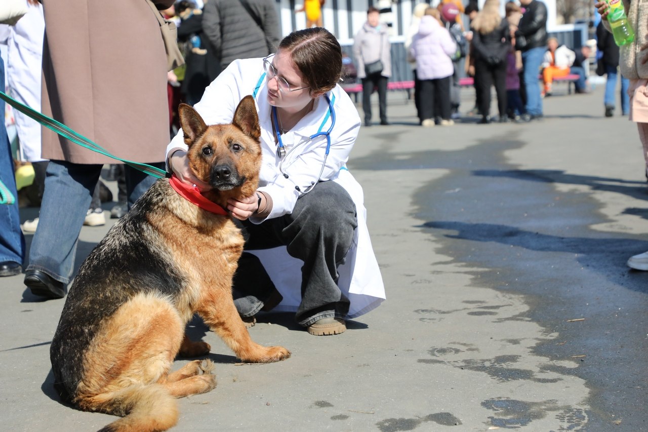 В Уфе прошла благотворительная акция «Ищу человека» В Уфе прошла благотворительная акция «Ищу человека»