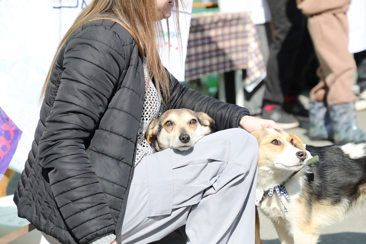 В Уфе прошла благотворительная акция «Ищу человека» В Уфе прошла благотворительная акция «Ищу человека»