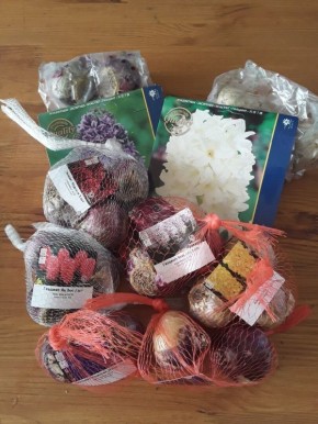 �������� � ����: ��� �������� ������� ������