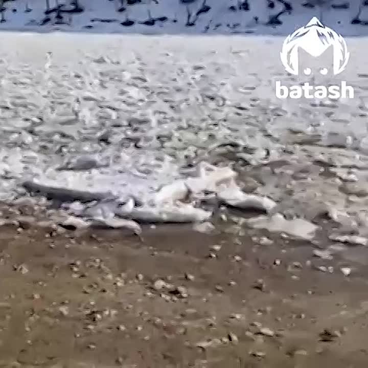 Водоёмы Башкирии пошли вверх раньше времени из-за аномального потепления