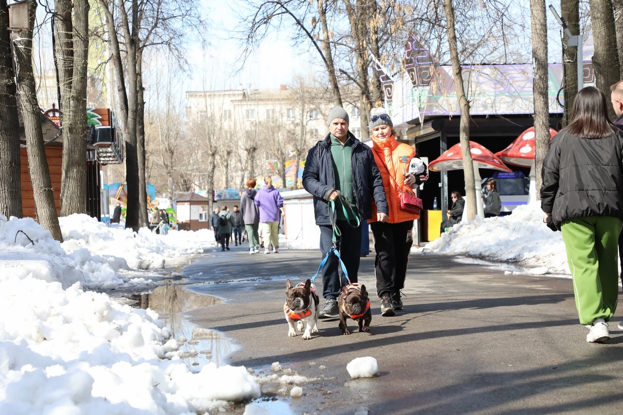 В Уфе прошла благотворительная акция «Ищу человека» В Уфе прошла благотворительная акция «Ищу человека»