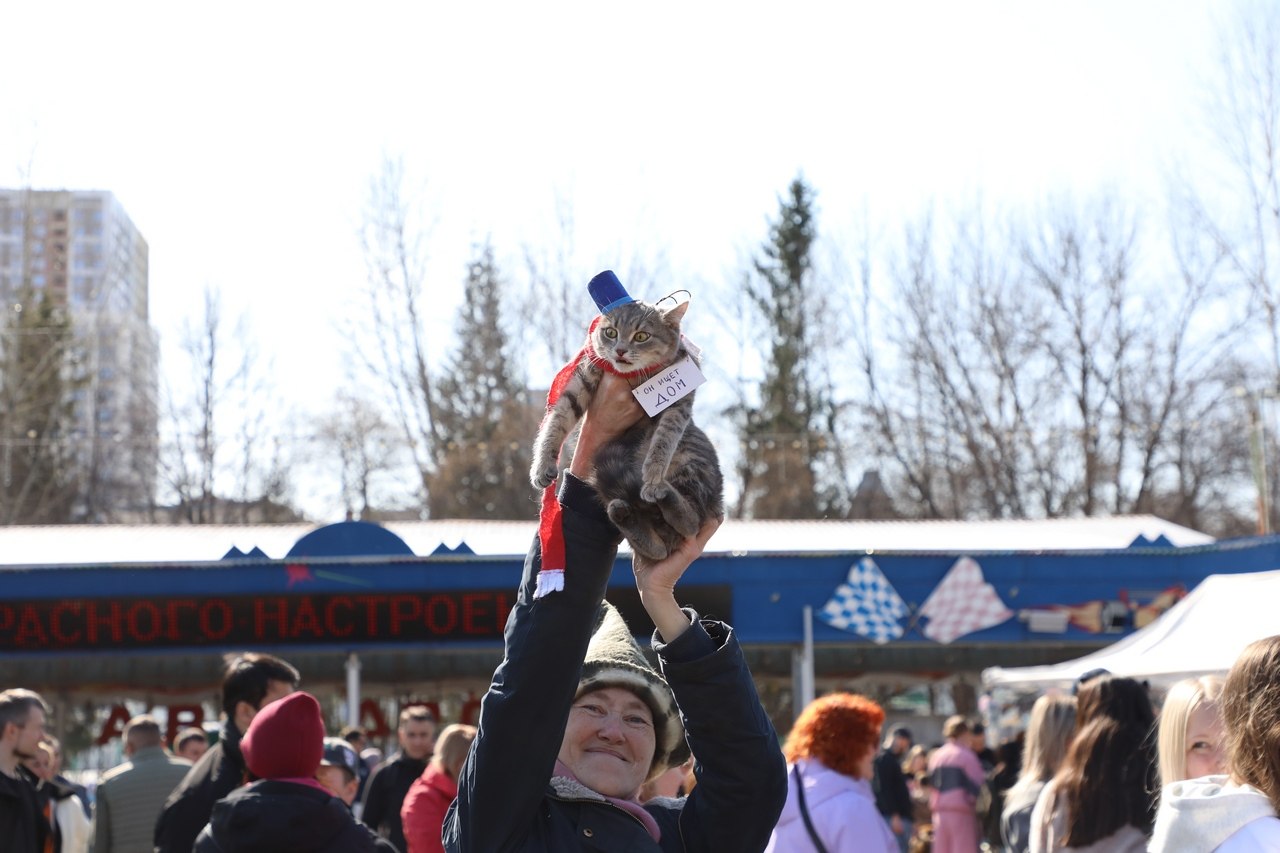 В Уфе прошла благотворительная акция «Ищу человека» В Уфе прошла благотворительная акция «Ищу человека»