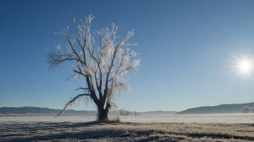 Потепление до +21°С придет в Башкирию