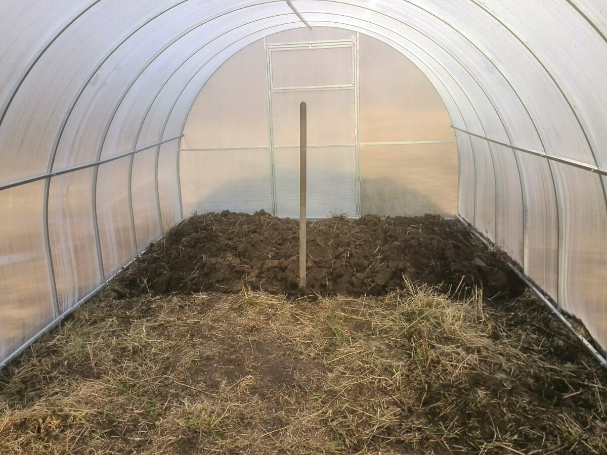 Как подготовить почву в теплице для удачного урожая томатов