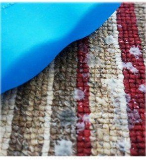 ��� ����� ������� ���� � �����: �������� ������ � ��������