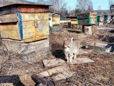 В Башкирии – раннее пробуждение!