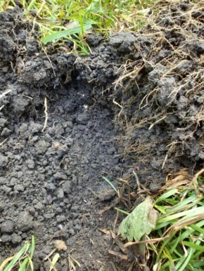 Заготовка грунта для рассады: советы и секреты