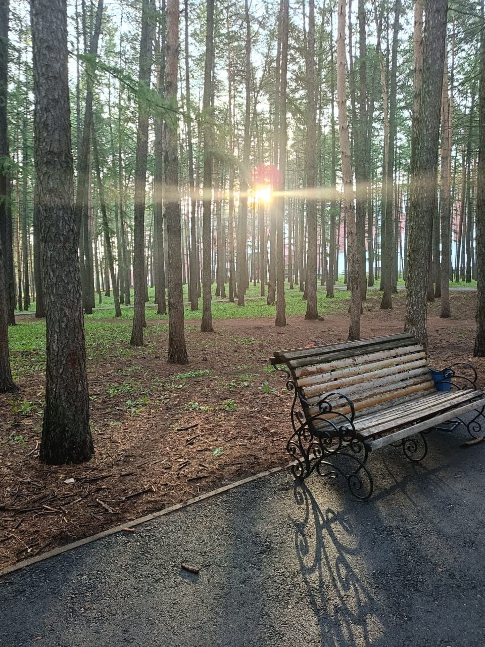 30 марта - День прогулки по парку 30 марта - День прогулки по парку