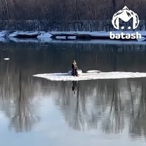 pov: с какой скоростью твоё сообщение доходило до кореша сегодня утром