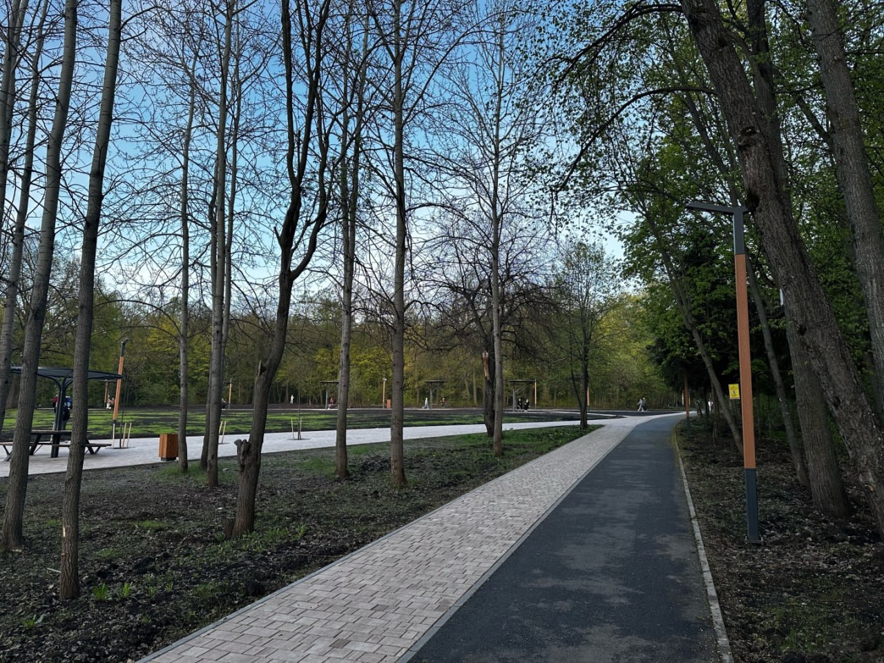 30 марта - День прогулки по парку 30 марта - День прогулки по парку