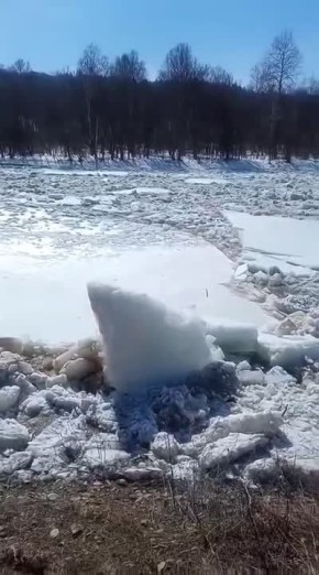 ������� �� ���� �����. ���������� �������� ���������� ���������� ������������ �����, ������ ���������� �� ������� ������