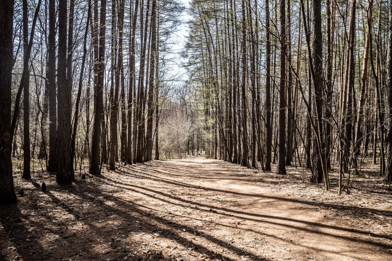 30 марта - День прогулки по парку 30 марта - День прогулки по парку