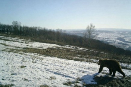 � �������� ��������� �������