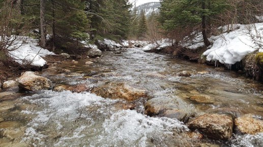 ��������� ������������ �� ���������� ����������