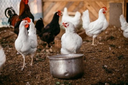 ���������� ���������� � ���������: ������� � ����������� ������