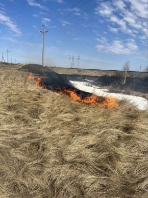 С наступлением тепла возрастает опасность природных пожаров