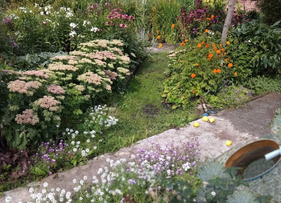 ��� ��������� ������������� ���� ����� ����� ������ �� ����