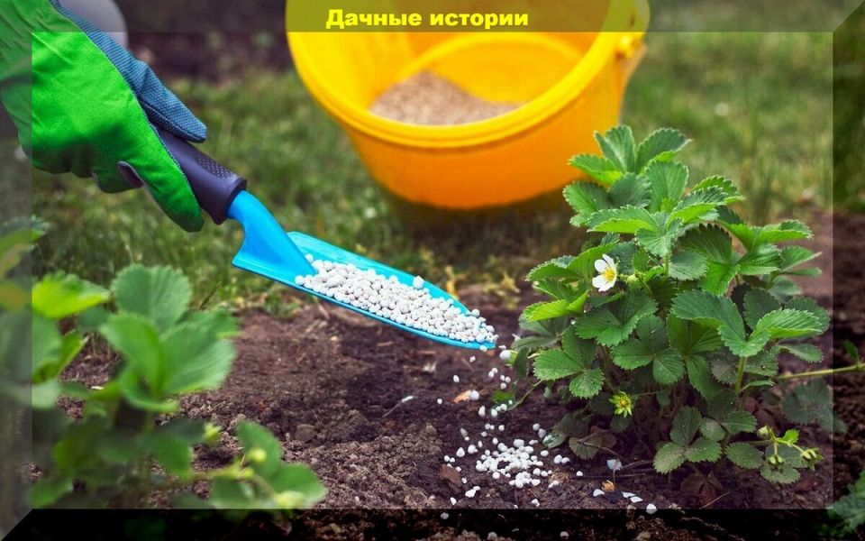 �������� ���� �� �������� �����: ��� ����� ����� ������� ��������