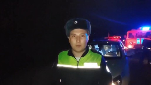 � ������ ������������� ����������� ���