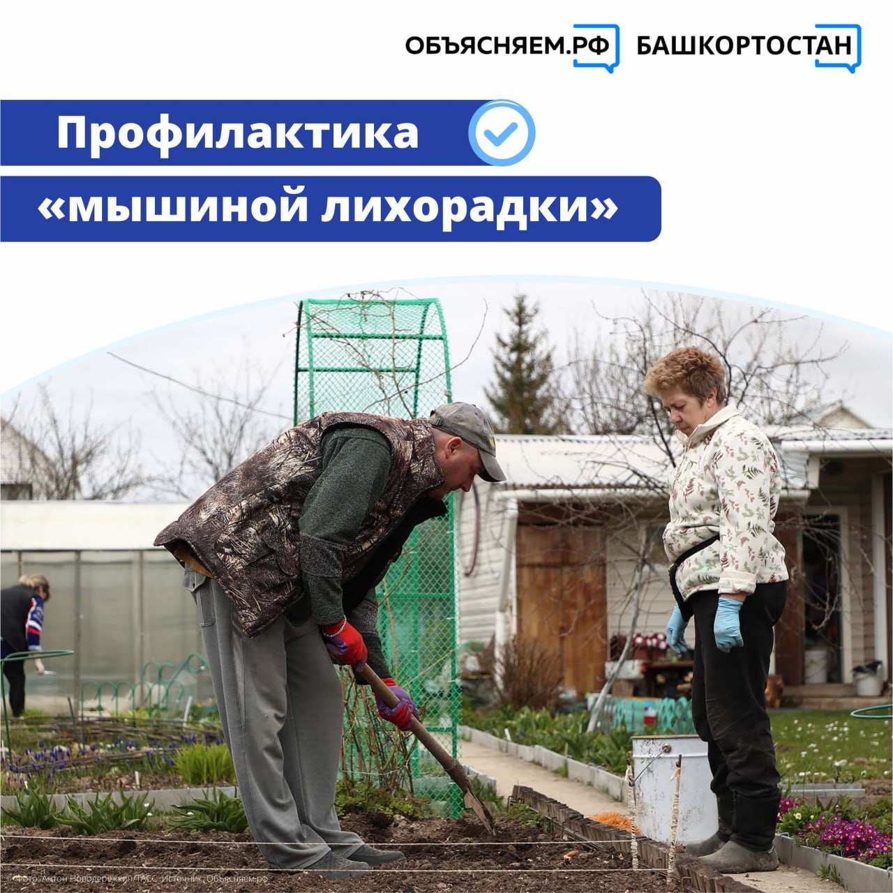 Когда приезжаешь на дачу — тут и грядки, и свежий воздух, и… грызуны