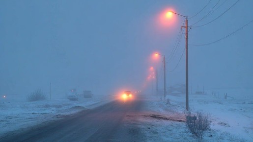 ������ � ����: � �������� �������� �����