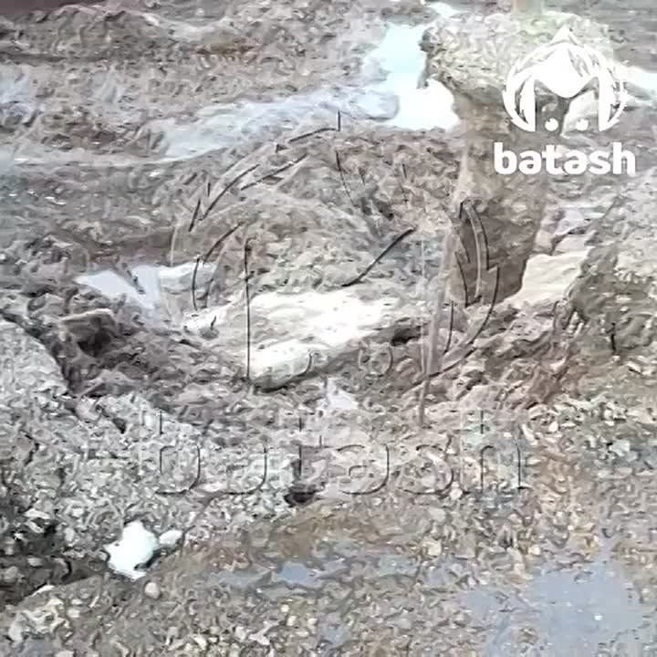 ����� ���������� ��� ������� ��������� � ���