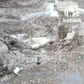 ����� ���������� ��� ������� ��������� � ���