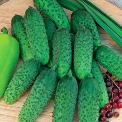 ������ ������: ���������� ��������� ��� ������ �������