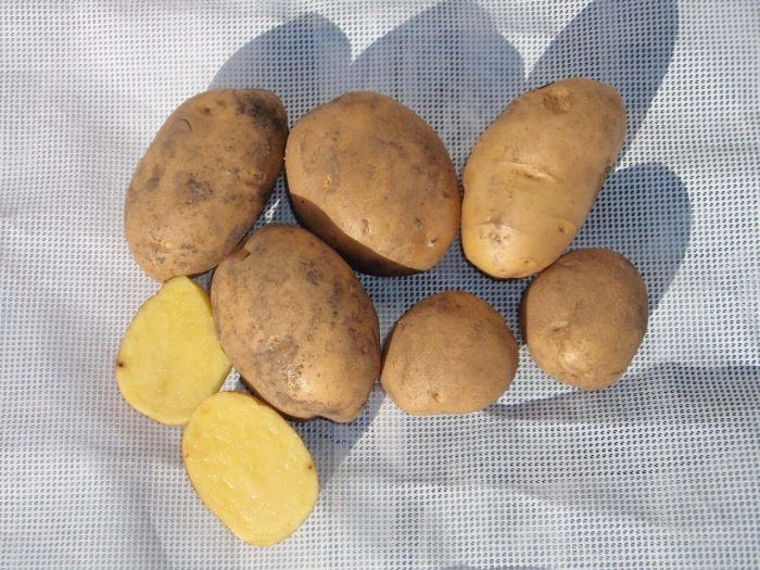 ��������� ��������: ������ � ������������� ���� ��� ������ �������