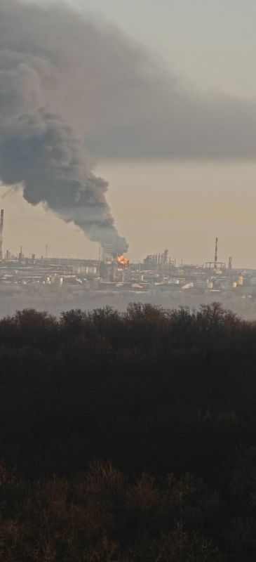 ���� ��������: � ��� "�������" ���� ����� �� ��� ����������: �� ����������� ����� �����