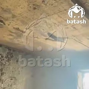 ��� ���� � ������ ��� ���������� �� �������� ����� ����� ������� ������������