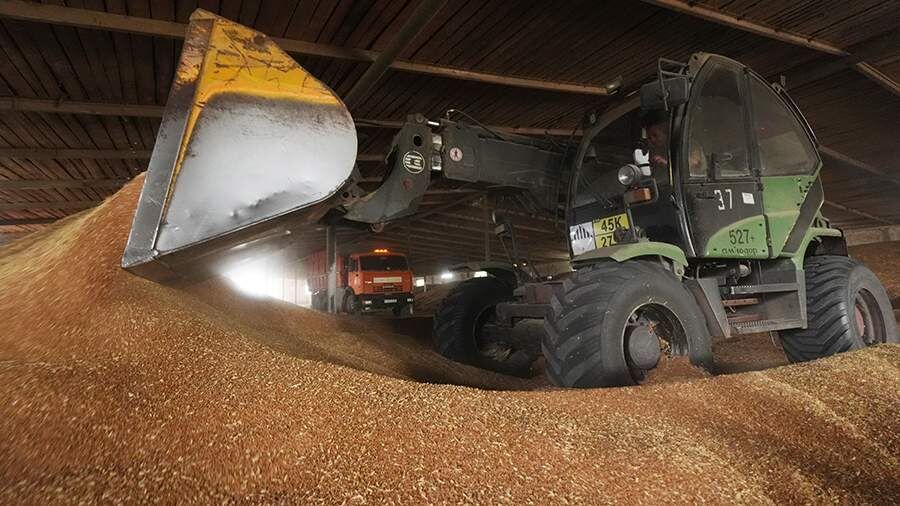 ��� ���������� ��������� ��������������������� ����� �������� ������������