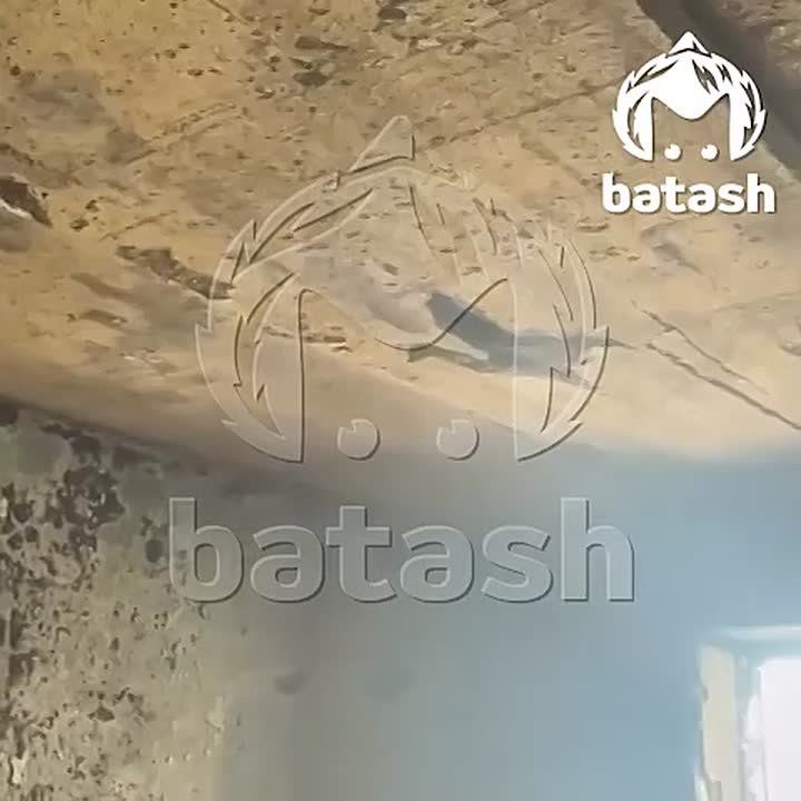 ���������� � ����� �� ������� �� ������ � ���, ���� ������� ���� �����������